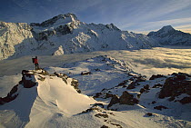 Mt Sefton, climber at dawn above Mueller hut and cloud-filled Mueller Glacier, Mt. Cook, also called Aoraki, in the distance, Mt. Cook National Park, New Zealand