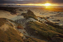 Sunset from sand dunes above Mason Bay Beach, Rakiura National Park, Stewart Island, New Zealand