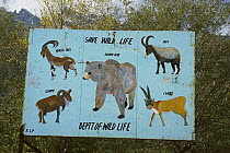Road sign illustrating protected Ladakh wildlife including Brown Bear, Chiru, Ibex and Shapo, near Leh, Ladakh, northwest India