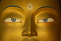 Maitreya, close up of statue head, Buddha, Tikse monastery, Ladakh, India, Himalayas