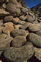 Carved Buddhist mani stones below ruined palace, Zangla, Kingdom of Zanskar, northwest India