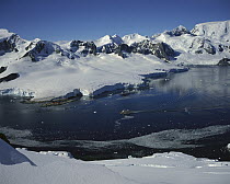 Tourist cruise ship leaves Paradise Bay, Antarctic Peninsula, Antarctica