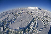 Heavy pack ice with embedded icebergs, Terre Adelie Land, east Antarctica
