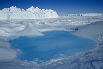 Blue pool on iceberg, Dumont d'Urville, Terre Adelie Land, east Antarctica