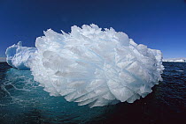 Hedgehog iceberg, Terre Adelie Land, east Antarctica