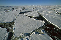 Heavy pack ice, Terre Adelie Land, east Antarctica