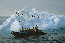 Tourists cruise past iceberg, Dumont d'Urville, Terre Adelie Land, east Antarctica