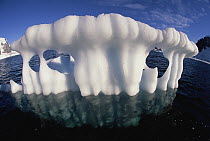Melting shard of an iceberg, bergy bit, Danco Coast, Antarctica Peninsula, Antarctica