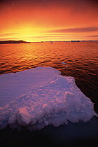 Sunset on ice floe, Pleneau Island, Antarctica Peninsula, Antarctica