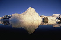 Iceberg reflection off of Danco Coast, Antarctica Peninsula, Antarctica