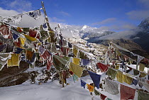 Iced up prayer flags, Dzong Ri, 8595 meters, Kangchenjunga, most easterly of the world's fourteen 8000 metre peaks, Sikkim Himalaya, India