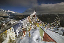 Iced up prayer flags, Dzong Ri, 8595 meters, Kangchenjunga in distance, most easterly of the world's fourteen 8000 metre peaks, Sikkim Himalaya, India
