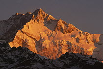 Dawn on Kangchenjunga, Talung face from Dzong Ri, eight thousand five hundred eighty five meters, most easterly of the world's fourteen 8000 metre peaks, Sikkim Himalaya, India