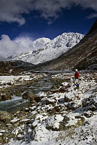 Trekker under Kabru Peak (7300 m) in winter snow, from Rathong Chu, near Kangchenjunga, Sikkim Himalaya, India
