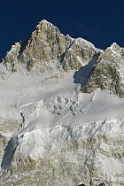 Kangchenjunga, Talung face from Dzong Ri, 8585 meters, most easterly of the world's fourteen 8000 metre peaks, Sikkim Himalaya, India