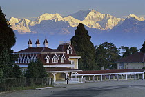 Kangchenjunga at dawn, from below St. Paul's School, Darjeeling, most easterly of the world's fourteen 8000 metre peaks, Sikkim Himalaya, India