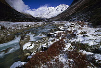 Kabru Peak, seven thousand three hundred meters, winter snowfall Rathong chu, near Kangchenjunga, Sikkim Himalaya, India