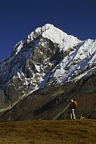 Pandim Peak, a 6697 meter tall peak, viewed from Dzong Ri, Sikkim Himalaya, India