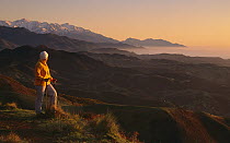 Trekker at dawn, Kaikoura Walkway, Seaward Kaikoura Mountains behind, New Zealand