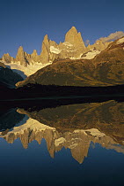 Fitzroy Massif reflection in lake at dawn near Poincenot camp, Los Glaciares National Park, Patagonia, Argentina