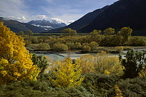 Autumn colors in Rees Valley above Glenorchy, Central Otago, New Zealand