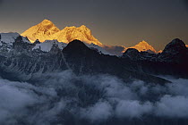Mount Everest, Lhotse and Makalu in the evening, seen from Gokyo Ri, Khumbu, Nepal