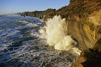 Swells at high tide crash against sandstone cliffs, Tongaporutu, north Taranaki, New Zealand
