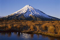 Winter morning, Mt. Taranaki from the Pouakai Range, Egmont National Park, New Zealand