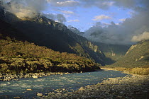 Copland River above Welcome Flats, Westland National Park, New Zealand