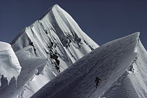 Mountaineer soloing the summit of Mount Cook, New Zealand