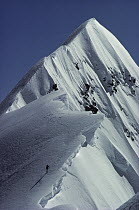Climber soloing the summit of Mount Cook, Grand Traverse, Mount Cook National Park, New Zealand