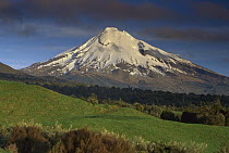 Mount Taranaki, western flanks of mountain, Taranaki, New Zealand
