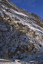 Karsha Gompa monastery after winter snowfall, Kingdom of Zanskar, Himalaya, India