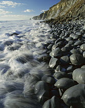 High tide on a boulder strewn beach on the North Taranaki Coast, south of Tongaporutu, New Zealand