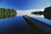 Wood dock reaching out into Lake Mapourika, West Coast, South Island, New Zealand