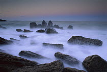 Boulders and seastacks in evening light, Bay of Plenty, New Zealand