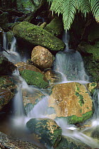 Stream waterfall near Lake Mapourika, New Zealand