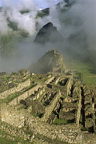 Ruins of Machu Picchu, 9000 feet up in tropical rainforest, Peru