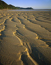 Sand patterns on beach, Abel Tasman National Park, New Zealand