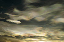 Nacreous Mother of Pearl' clouds seen over Ross Island in late winter, early spring, Antarctica