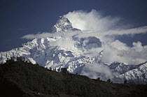 Machapuchare (6,993 meters) in mist, part of the Annapurna Himal, Nepal
