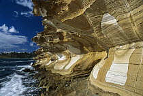 Painted Cliffs, Maria Island National Park, Tasmania, Australia