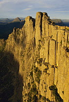 Dolerite columns of Mount Geryon, Cradle Mountain-Lake Saint Clair National Park, Tasmania, Australia