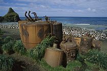 Old digesters used to extract oil from penguins and seals, Macquarie Island, Tasmania, Australia