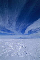 Cirrus clouds above icy plateau, Antarctica