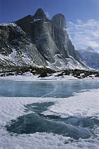 Thor Peak from Weasel Valley, Auyuittuq National Park, Baffin Island, Canada