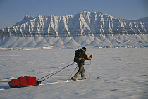 Person skiing across snow from Ny Alesund to Longyearbyen, Spitsbergen, Svalbard, Norway