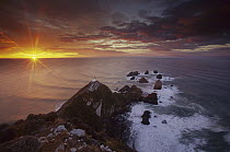 Nugget Point lighthouse at sunrise, South Island, New Zealand