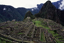 Tourists visiting the ruins of Machu Picchu, 9000 feet up in tropical rainforest, Peru