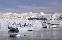 Ice floes and snow covered mountains, Antarctica